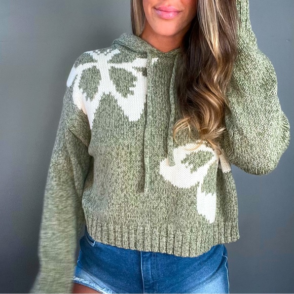 American Eagle Outfitters Sweaters - AE American Eagle Butterfly Pattern Hooded Knit Sweater